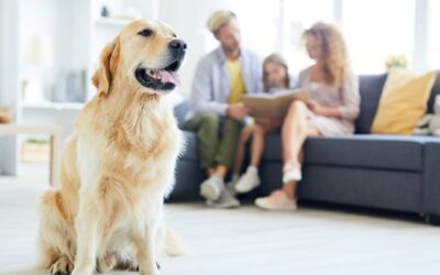 Why You Should Hire Residential Cleaning Services