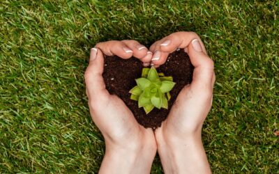 5 Ways to Switch to Green Cleaning